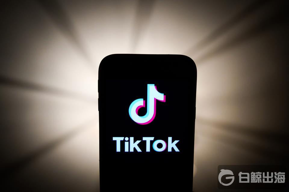 TikTok提议建立社交媒体联盟以抵制有害内容