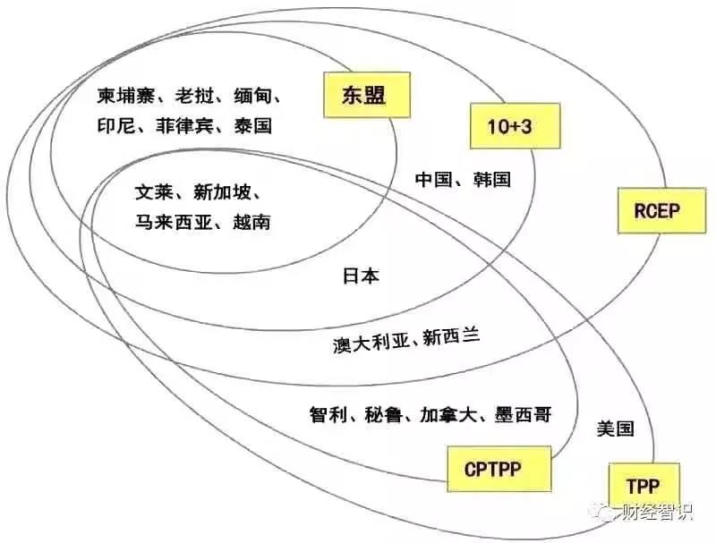 零关税≠不逆算！RCEP协定下，跨境电商日本市场的喜与忧