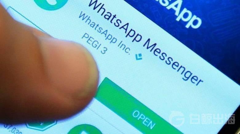 WhatsApp新规出台在即，阿联酋用户纷纷寻找替代方案