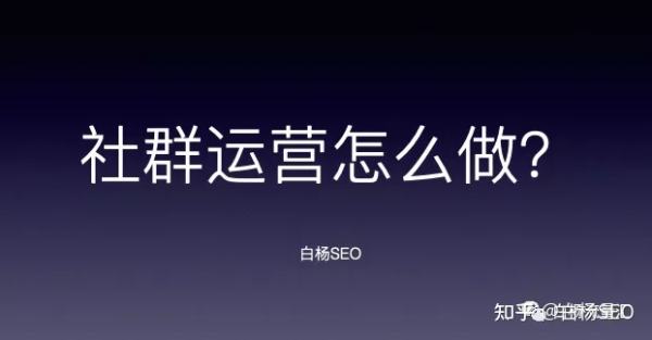 白杨SEO：想做一个付费社群，应该怎样定位和准备些什么？【实战复盘】