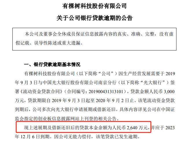 亿级大卖，4年还不起3000万