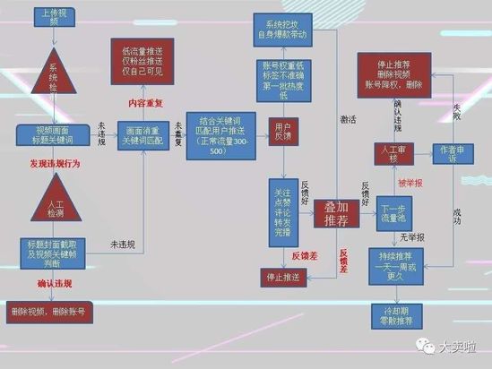 海外版抖音TikTok爆红涨粉卖货 暴力引流的秘密是啥？