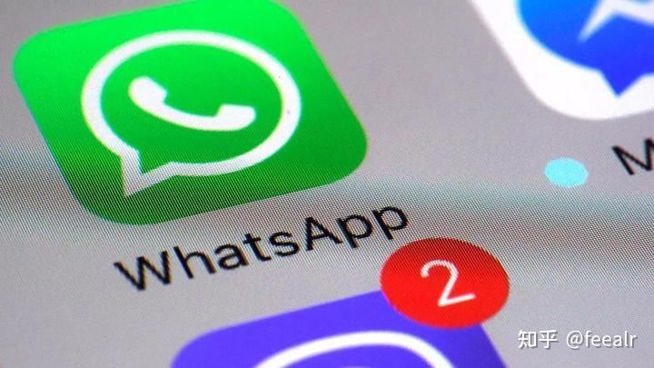 几分钟带你快速了解上手WhatsApp开发客户