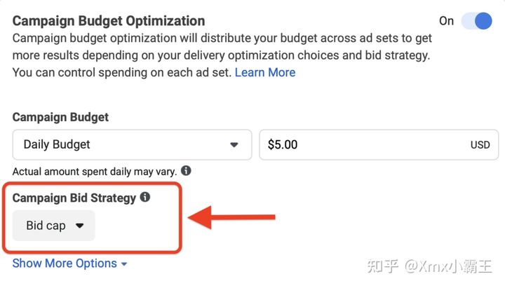 选择正确的 Facebook 广告竞价策略