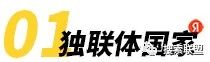 Yandex在独联体国家的受众和广告市场