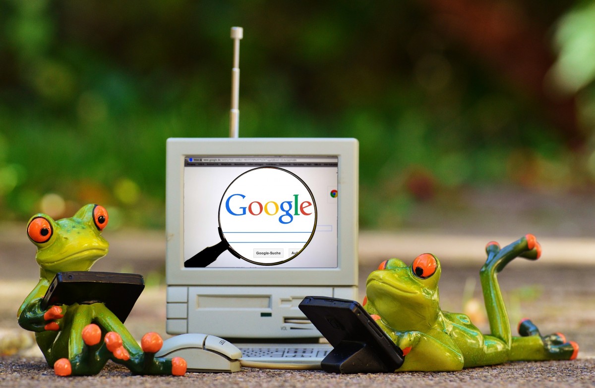 frogs_computer_google_search_laptop_funny_cute_figure-844156.jpg