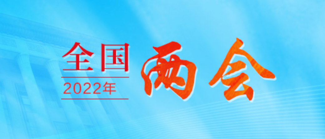 从未成年到元宇宙，今年两会都说了什么？