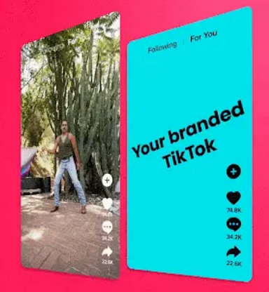 TikTok Pulse上线：同创作者分享广告收益