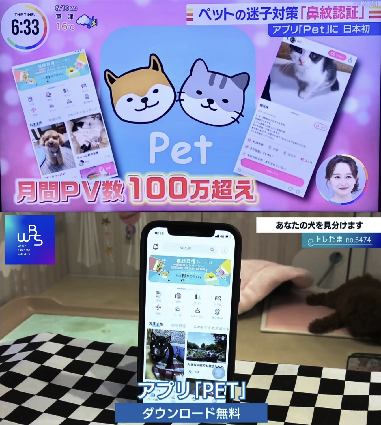 出海日本，宠物社区App「Pet」如何冷启动与增长？