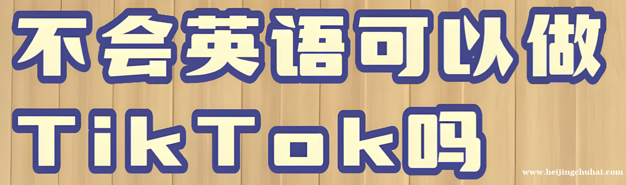 如何在不懂英语的情况下玩转TikTok？