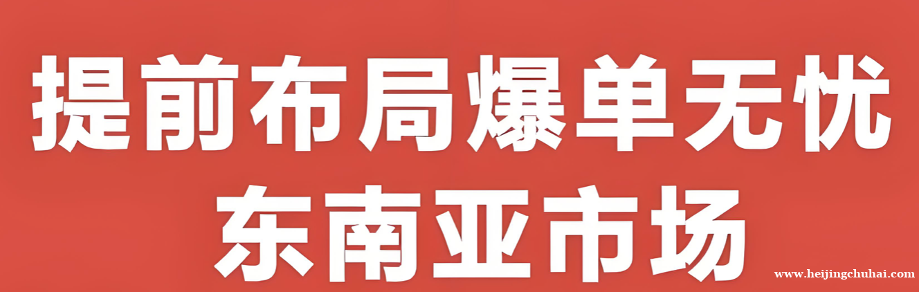 东南亚市场为何爆单频频？TikTok小白如何选品避坑？